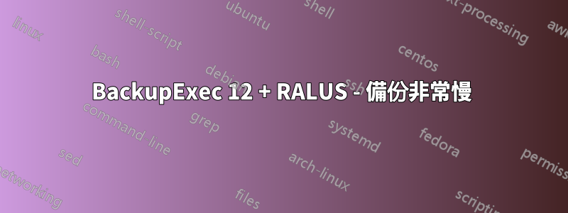 BackupExec 12 + RALUS - 備份非常慢