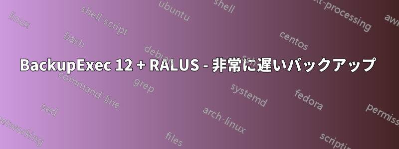 BackupExec 12 + RALUS - 非常に遅いバックアップ