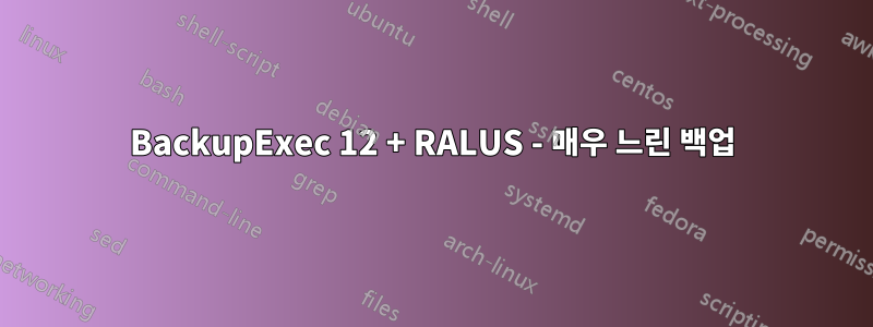 BackupExec 12 + RALUS - 매우 느린 백업