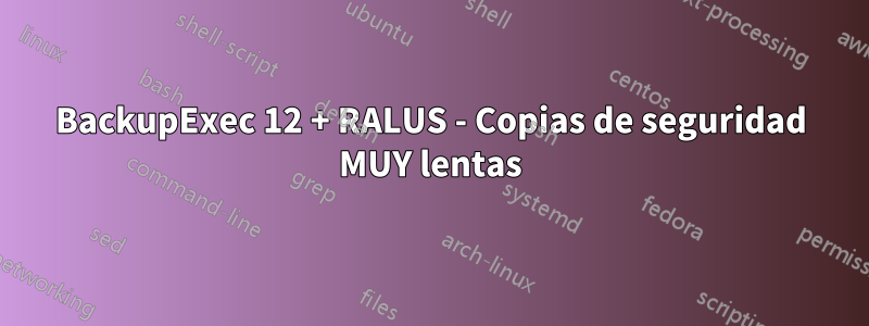 BackupExec 12 + RALUS - Copias de seguridad MUY lentas