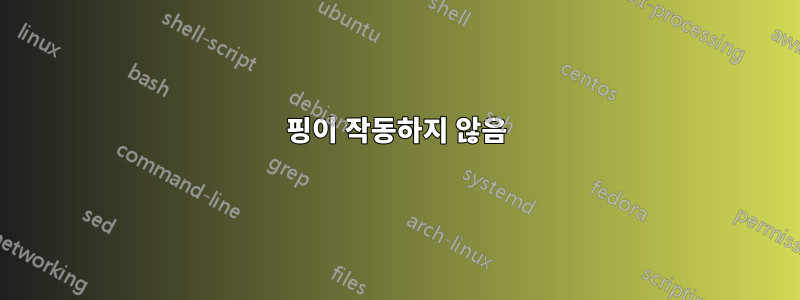 핑이 작동하지 않음