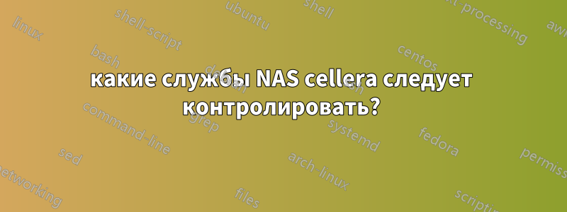 какие службы NAS cellera следует контролировать?