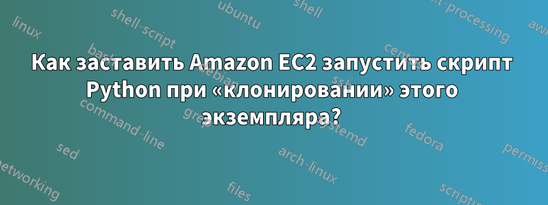 Как заставить Amazon EC2 запустить скрипт Python при «клонировании» этого экземпляра?