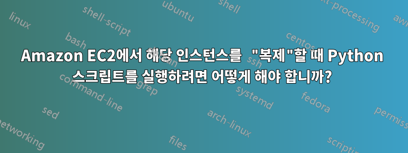 Amazon EC2에서 해당 인스턴스를 "복제"할 때 Python 스크립트를 실행하려면 어떻게 해야 합니까?