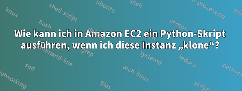 Wie kann ich in Amazon EC2 ein Python-Skript ausführen, wenn ich diese Instanz „klone“?