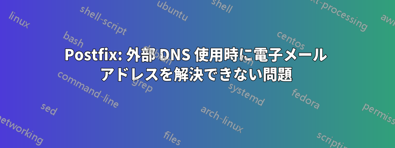Postfix: 外部 DNS 使用時に電子メール アドレスを解決できない問題