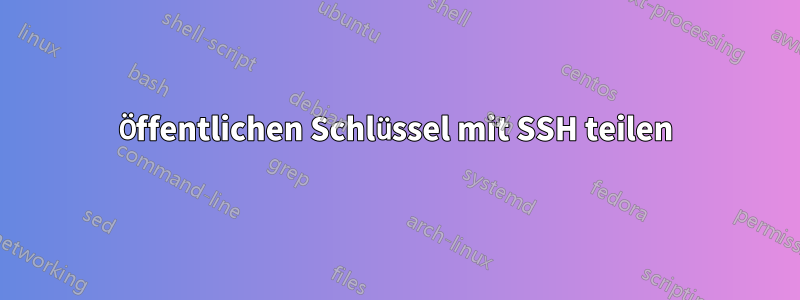 Öffentlichen Schlüssel mit SSH teilen
