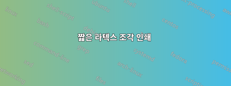 짧은 라텍스 조각 인쇄