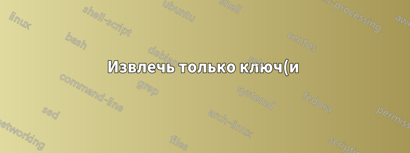 Извлечь только ключ(и) из экспортированной пары ключей GPG
