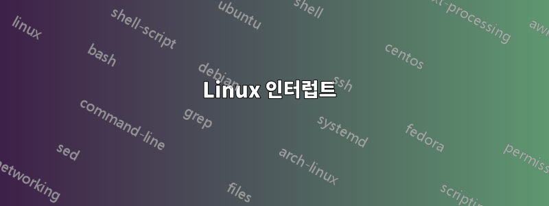 Linux 인터럽트 