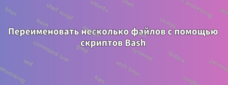 Переименовать несколько файлов с помощью скриптов Bash