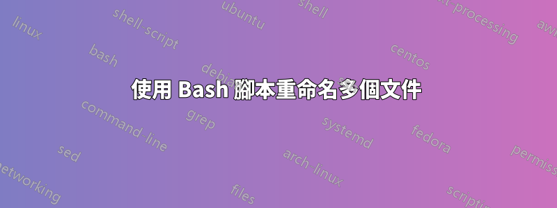 使用 Bash 腳本重命名多個文件