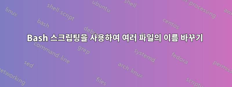 Bash 스크립팅을 사용하여 여러 파일의 이름 바꾸기