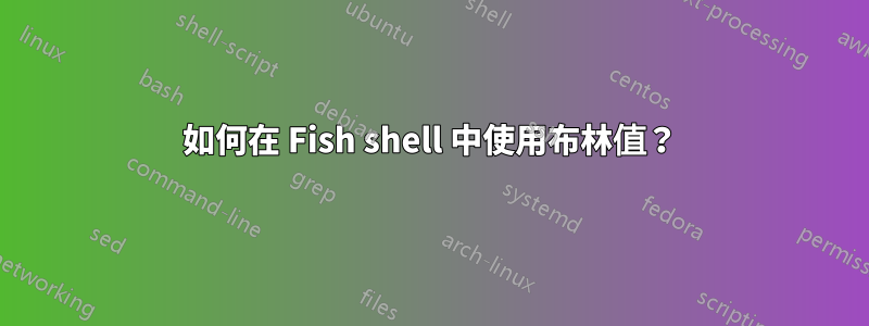 如何在 Fish shell 中使用布林值？