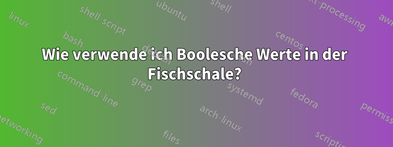 Wie verwende ich Boolesche Werte in der Fischschale?