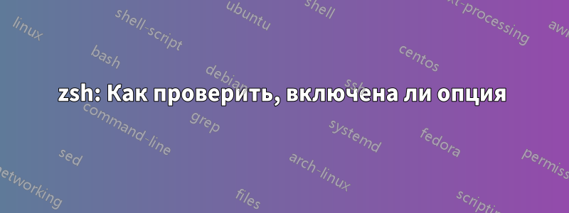 zsh: Как проверить, включена ли опция