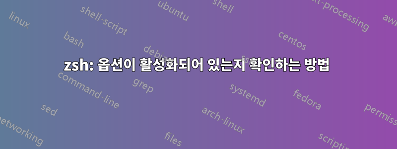 zsh: 옵션이 활성화되어 있는지 확인하는 방법