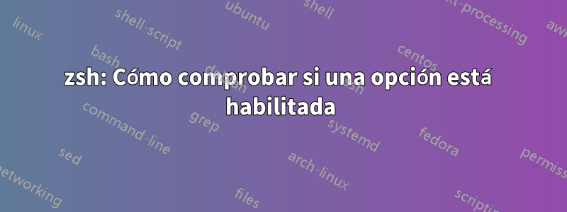 zsh: Cómo comprobar si una opción está habilitada