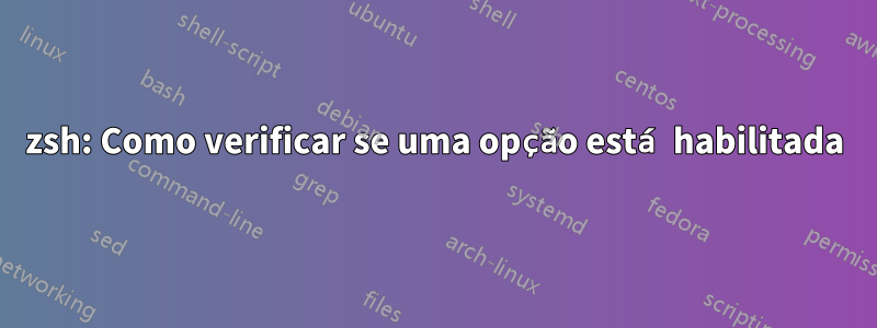 zsh: Como verificar se uma opção está habilitada