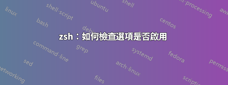 zsh：如何檢查選項是否啟用