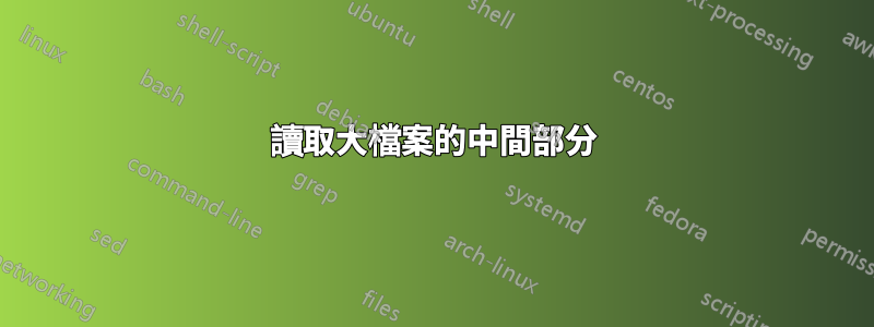 讀取大檔案的中間部分