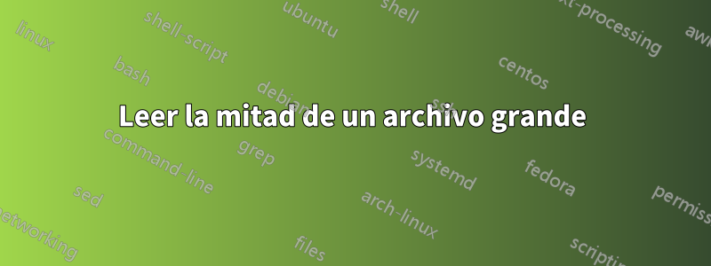 Leer la mitad de un archivo grande