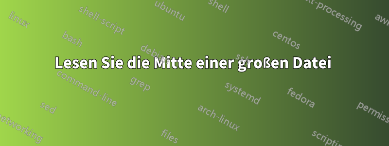 Lesen Sie die Mitte einer großen Datei