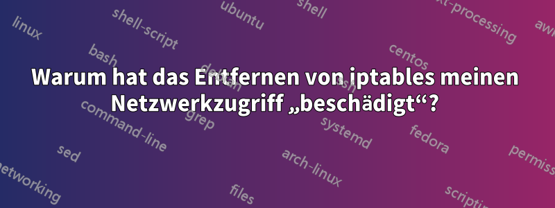 Warum hat das Entfernen von iptables meinen Netzwerkzugriff „beschädigt“?