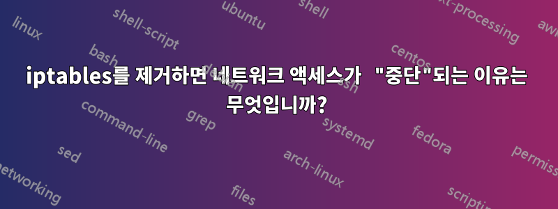 iptables를 제거하면 네트워크 액세스가 "중단"되는 이유는 무엇입니까?