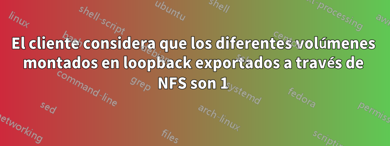 El cliente considera que los diferentes volúmenes montados en loopback exportados a través de NFS son 1