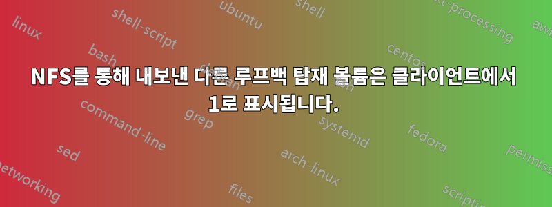 NFS를 통해 내보낸 다른 루프백 탑재 볼륨은 클라이언트에서 1로 표시됩니다.