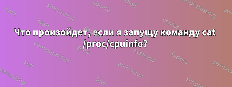 Что произойдет, если я запущу команду cat /proc/cpuinfo?