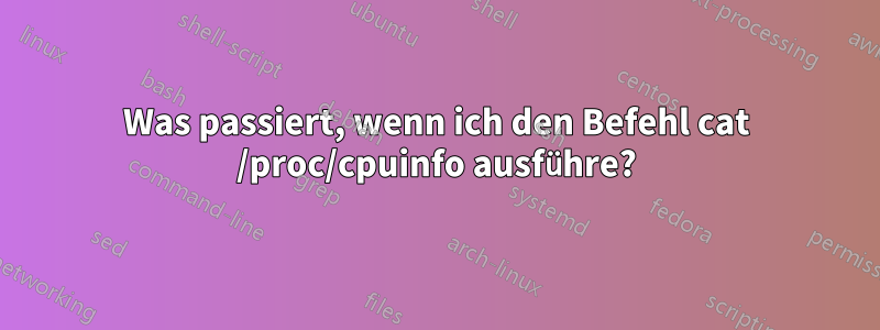 Was passiert, wenn ich den Befehl cat /proc/cpuinfo ausführe?