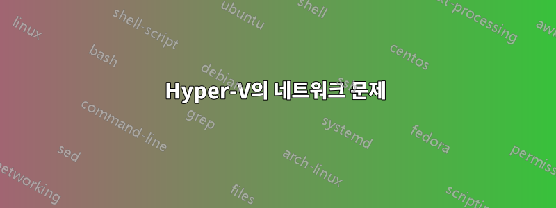 Hyper-V의 네트워크 문제