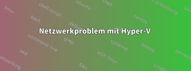 Netzwerkproblem mit Hyper-V