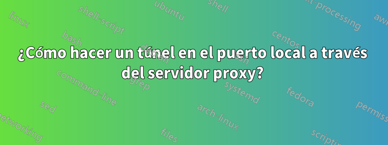 ¿Cómo hacer un túnel en el puerto local a través del servidor proxy?