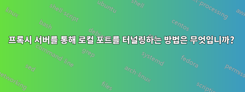 프록시 서버를 통해 로컬 포트를 터널링하는 방법은 무엇입니까?