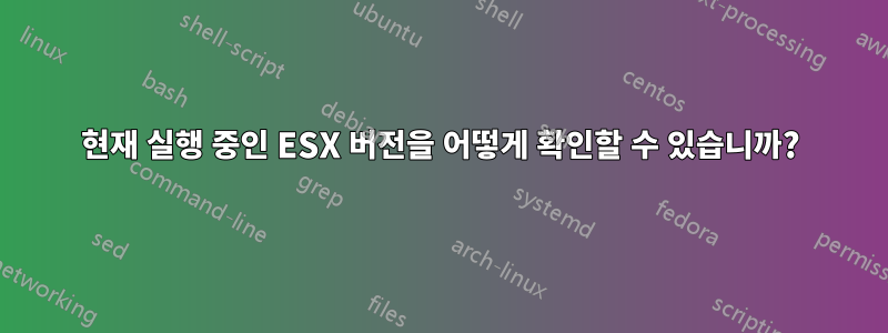 현재 실행 중인 ESX 버전을 어떻게 확인할 수 있습니까?