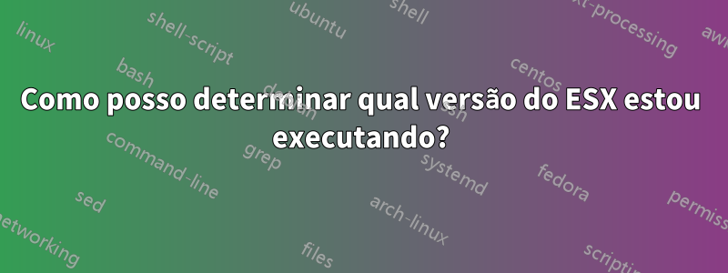 Como posso determinar qual versão do ESX estou executando?