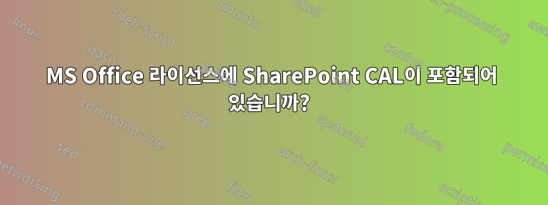 MS Office 라이선스에 SharePoint CAL이 포함되어 있습니까? 