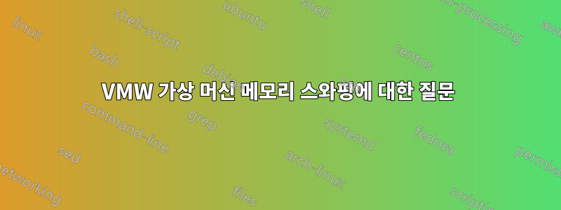 VMW 가상 머신 메모리 스와핑에 대한 질문
