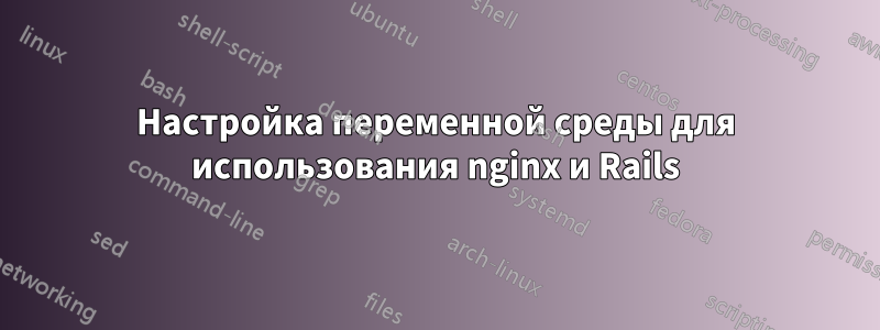 Настройка переменной среды для использования nginx и Rails
