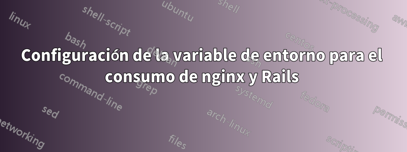 Configuración de la variable de entorno para el consumo de nginx y Rails