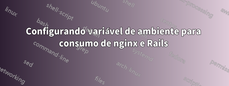 Configurando variável de ambiente para consumo de nginx e Rails