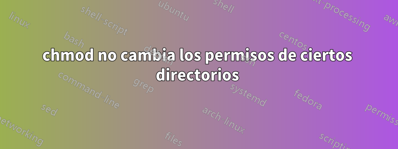 chmod no cambia los permisos de ciertos directorios