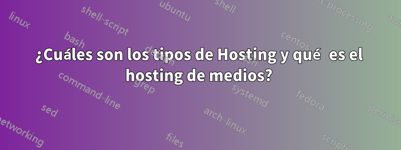 ¿Cuáles son los tipos de Hosting y qué es el hosting de medios?