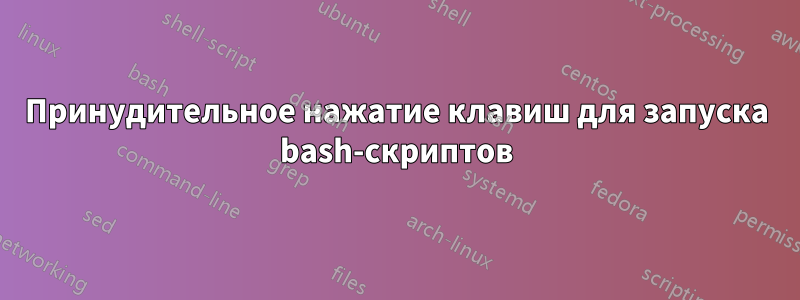 Принудительное нажатие клавиш для запуска bash-скриптов