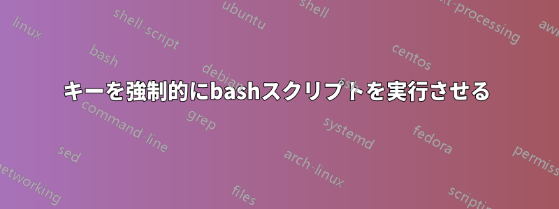 キーを強制的にbashスクリプトを実行させる