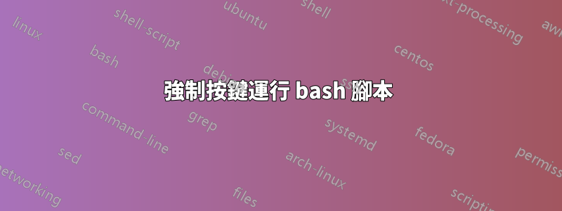 強制按鍵運行 bash 腳本