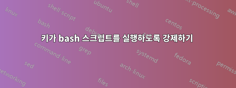 키가 bash 스크립트를 실행하도록 강제하기